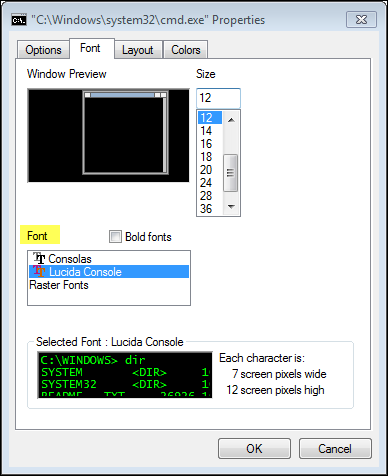 Screenshot of the Command Prompt Options tab