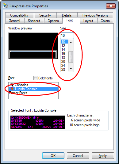 Screenshot of the iisexpress.exe.lnk settings