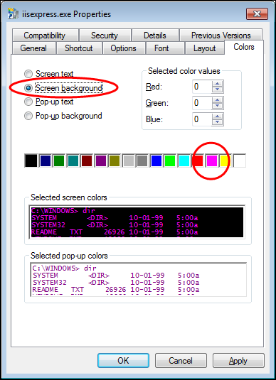 Screenshot of the iisexpress.exe.lnk settings